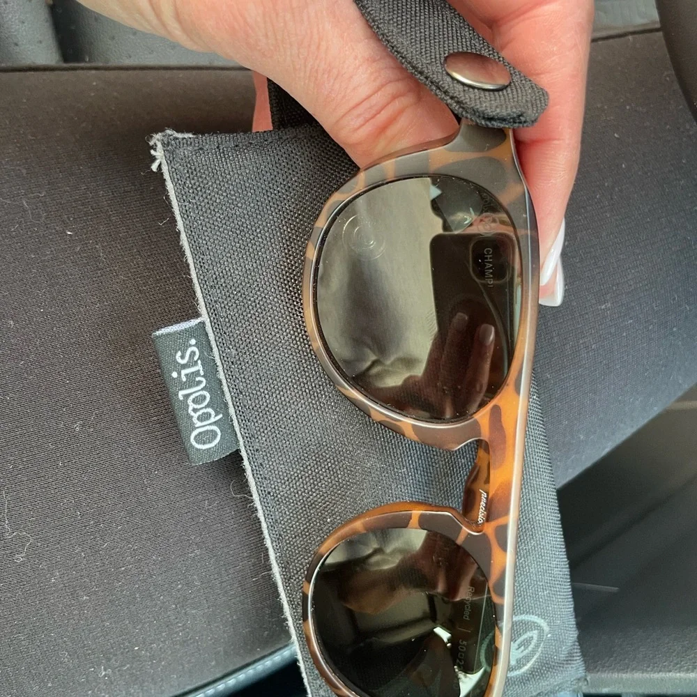 Tortoise Shell Sunglasses - Picture 1 of 4
